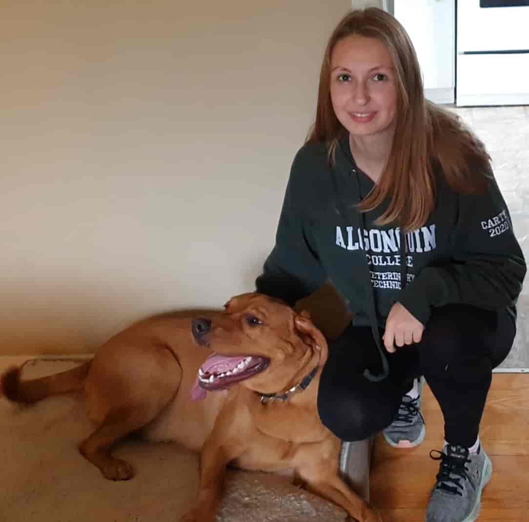 stop barking and pulling Dog training ottawa success story