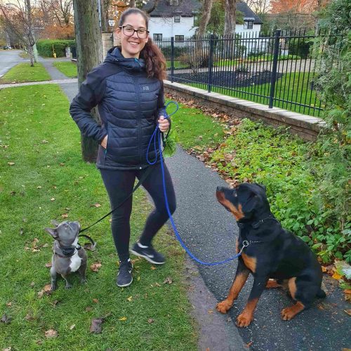 two well-trained dogs walking in Ottawa with Sunny Dog Training